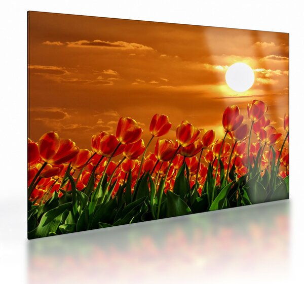 Staklena slika cvatućeg polja s tulipanima (70x50 cm)