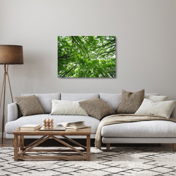 Staklena slika - Pogled u krošnje drveća (70x50 cm)