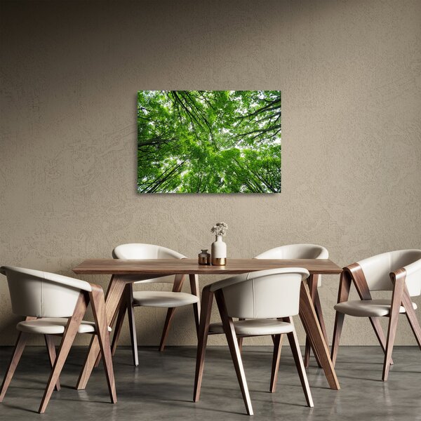 Staklena slika - Pogled u krošnje drveća (70x50 cm)