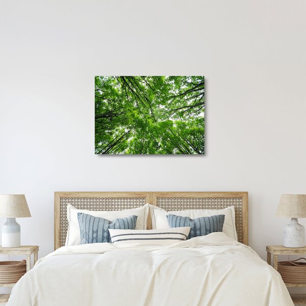 Staklena slika - Pogled u krošnje drveća (70x50 cm)
