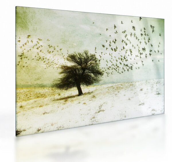 Staklena slika - Naslikano jato ptica (70x50 cm)