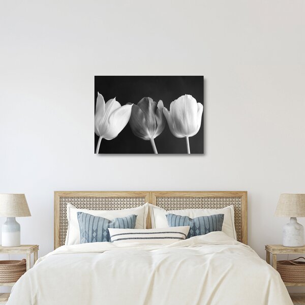 Staklena slika - Crno-bijeli cvjetovi tulipana (70x50 cm)