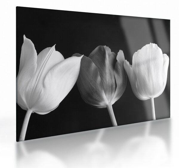 Staklena slika - Crno-bijeli cvjetovi tulipana (70x50 cm)