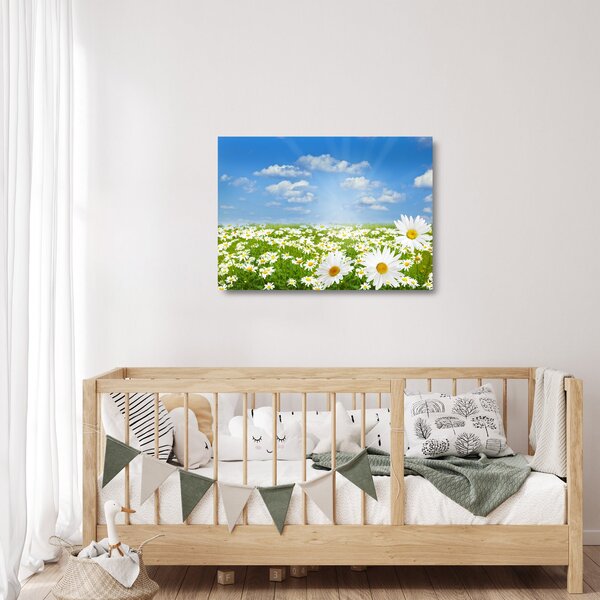 Staklena slika procvjetale livade s tratinčicama (70x50 cm)