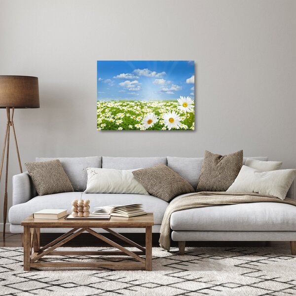 Staklena slika procvjetale livade s tratinčicama (70x50 cm)