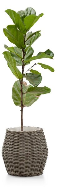 Crna tegla od umjetnog ratana Bonami Essentials Grande Fiore