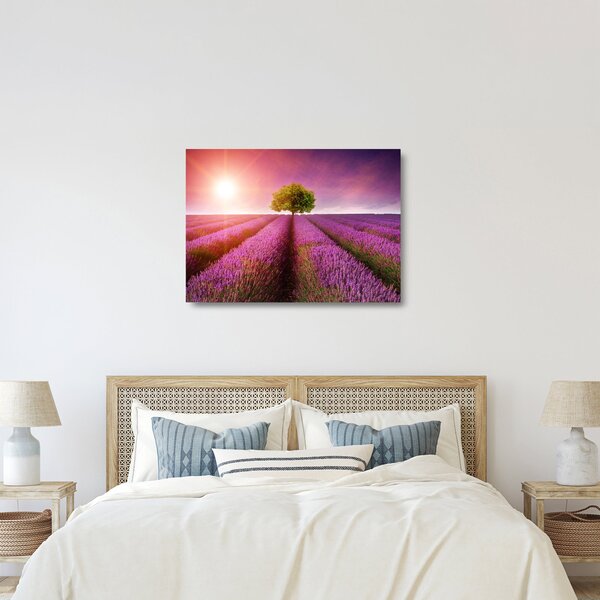 Staklena slika polja s lavandom (70x50 cm)