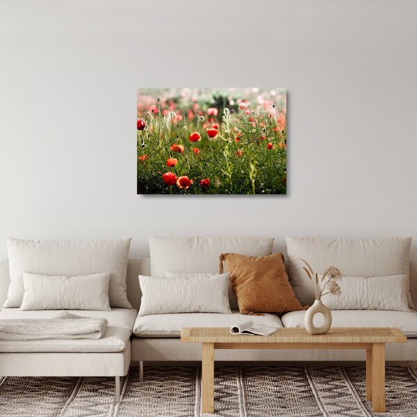 Staklena slika procvalih makova (70x50 cm)