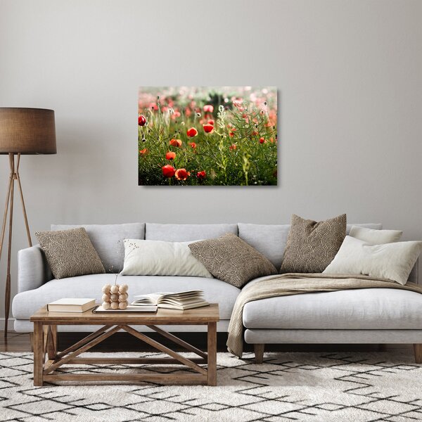 Staklena slika procvalih makova (70x50 cm)