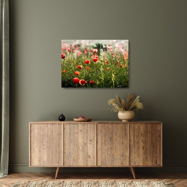 Staklena slika procvalih makova (70x50 cm)