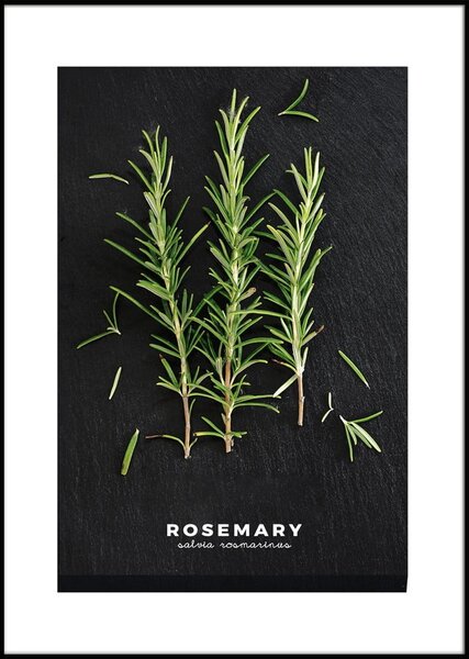 Slika 50x70 cm Rosemary – Styler