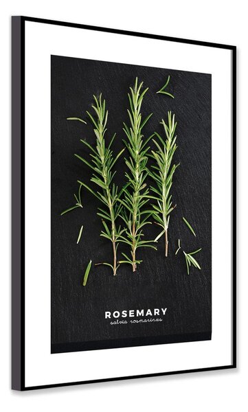 Slika 50x70 cm Rosemary – Styler