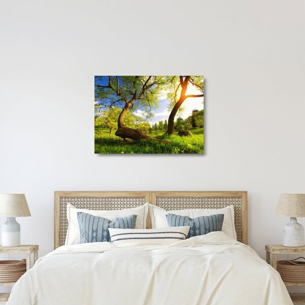 Staklena slika proljetne livade (70x50 cm)