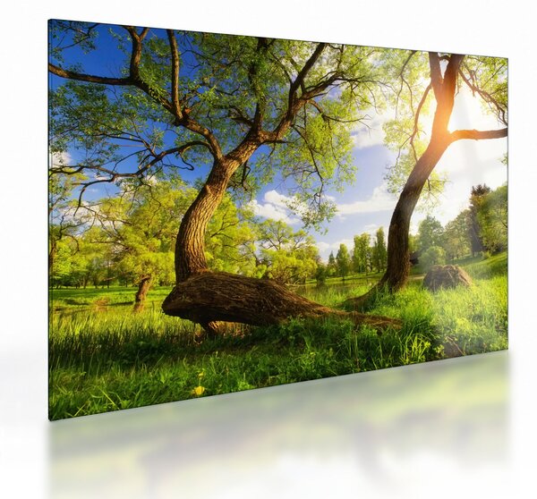 Staklena slika proljetne livade (70x50 cm)
