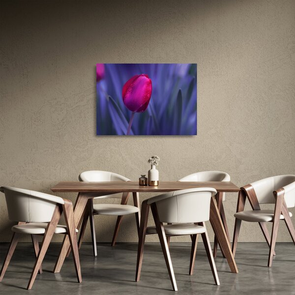 Staklena slika pupoljka tulipana (70x50 cm)