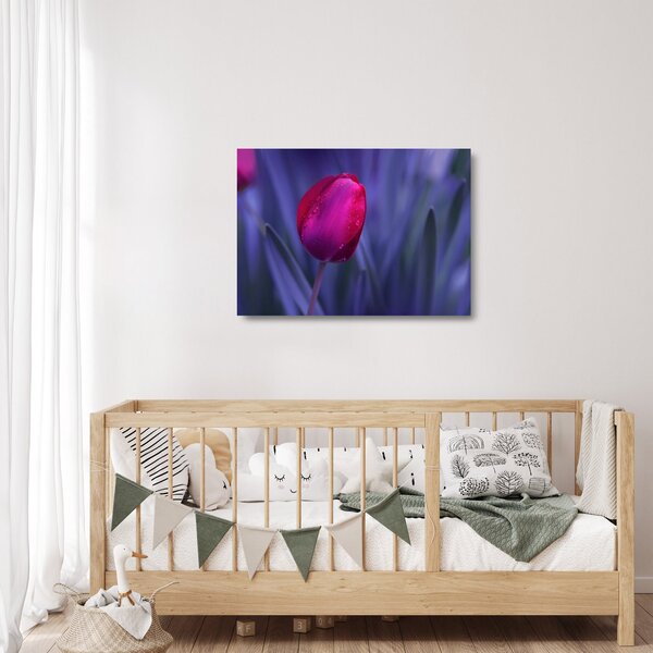 Staklena slika pupoljka tulipana (70x50 cm)