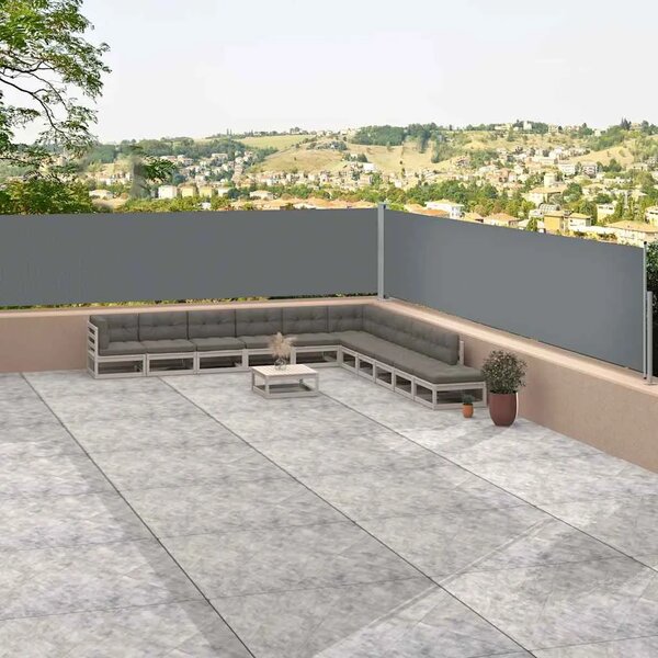 Uvlačiva bočna tenda antracit 117 x 1200 cm - Antracit 117 x 1200 cm 1 Antracit