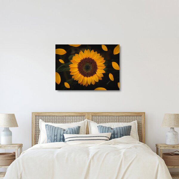 Staklena slika - Suncokreti i latice cvijeta (70x50 cm)