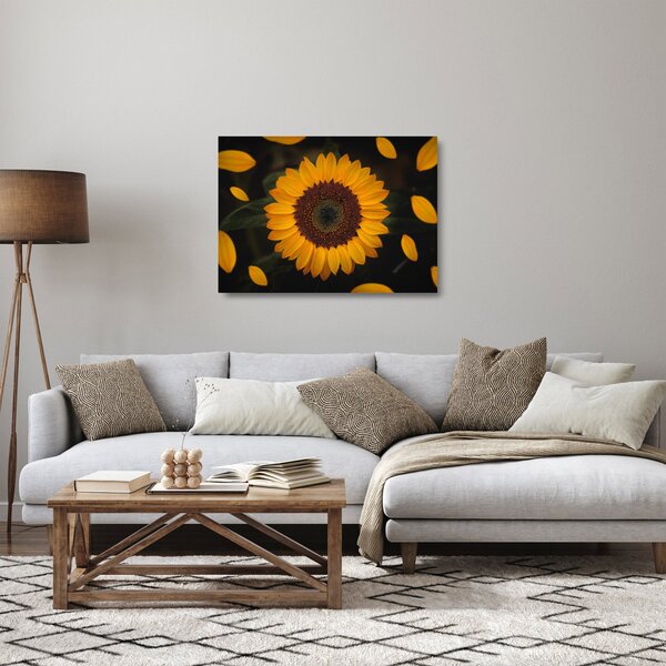 Staklena slika - Suncokreti i latice cvijeta (70x50 cm)