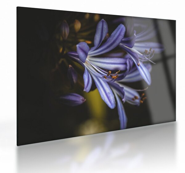 Staklena slika - Lila (70x50 cm)