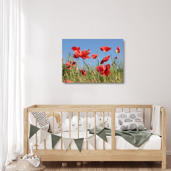 Staklena slika - makovi (70x50 cm)