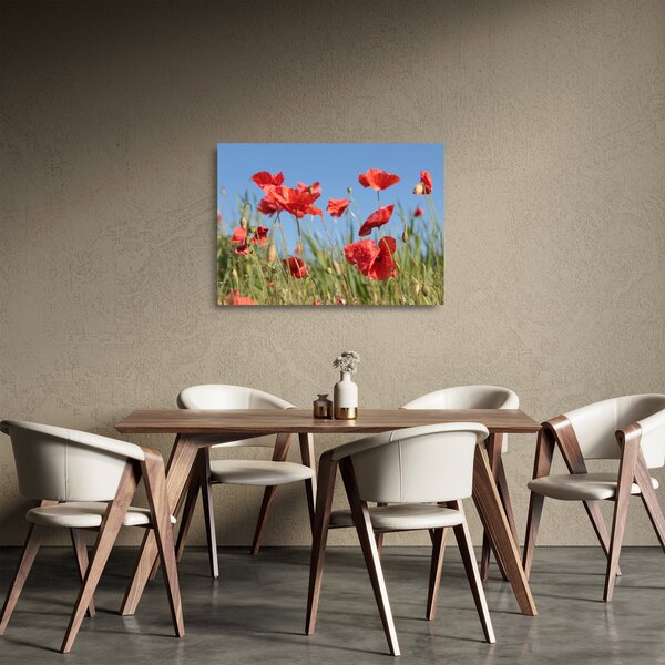 Staklena slika - makovi (70x50 cm)