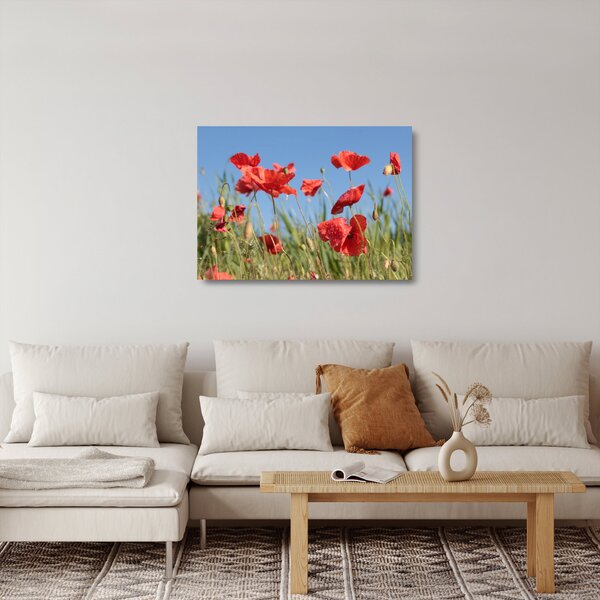 Staklena slika - makovi (70x50 cm)