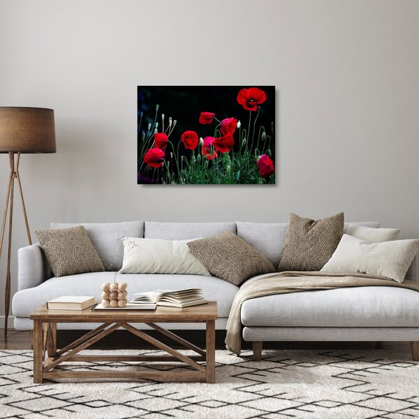 Staklena slika - Ples makova (70x50 cm)