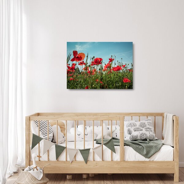 Staklena slika - Na polju makova (70x50 cm)