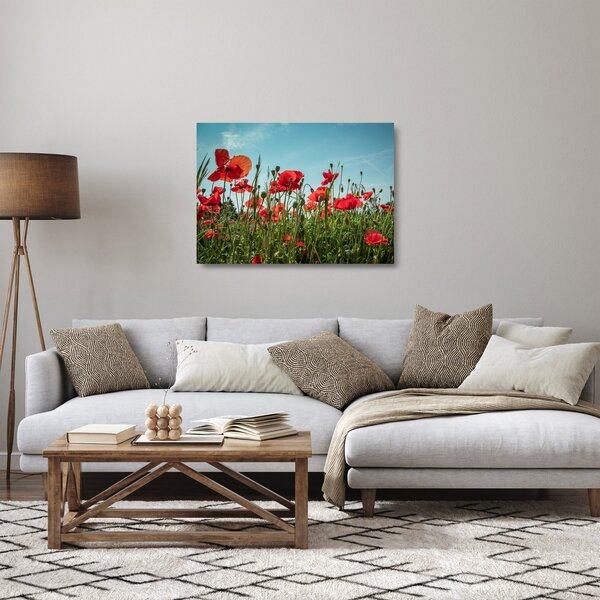 Staklena slika - Na polju makova (70x50 cm)