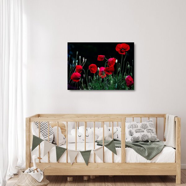 Staklena slika - Ples makova (70x50 cm)