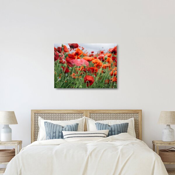 Staklena slika polja maka (70x50 cm)