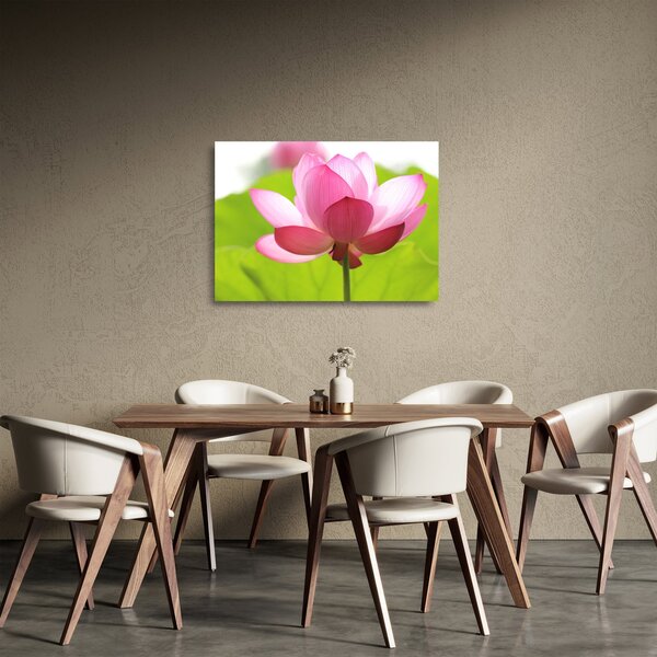 Staklena slika cvijeta lotosa (70x50 cm)