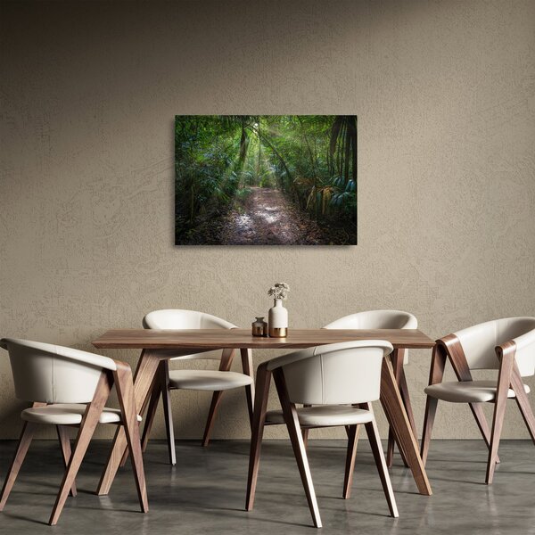Staklena slika - Sunčeve zrake u džungli (70x50 cm)