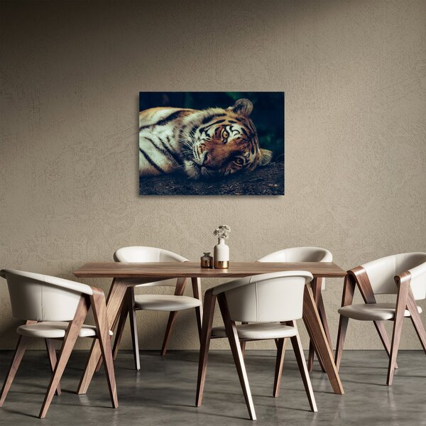 Staklena slika - Sibirski tigar (70x50 cm)