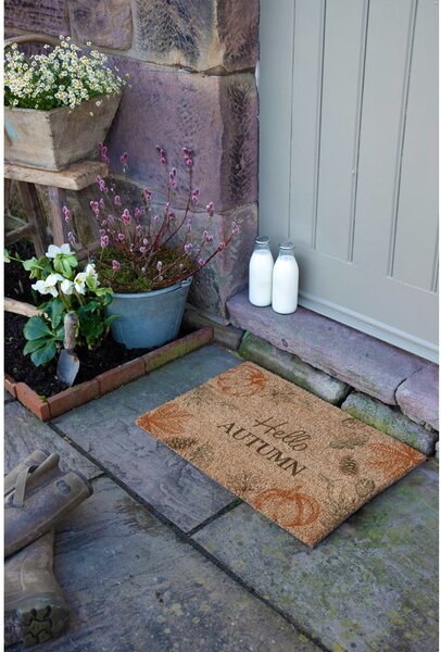 Otirač od kokosovih vlakana 40x60 cm Hello Autumn – Artsy Doormats