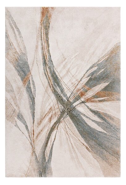 Plavi/krem tepih 120x170 cm Mirage Illusion – Asiatic Carpets