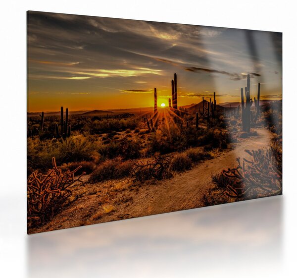 Staklena slika - Kraj dana u pustinji Arizona (70x50 cm)