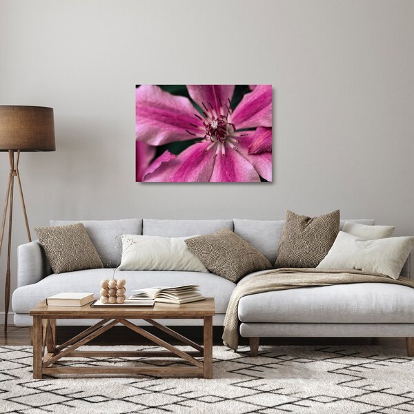 Staklena slika ružičastog cvijeta klematisa (70x50 cm)