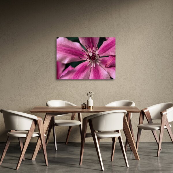 Staklena slika ružičastog cvijeta klematisa (70x50 cm)