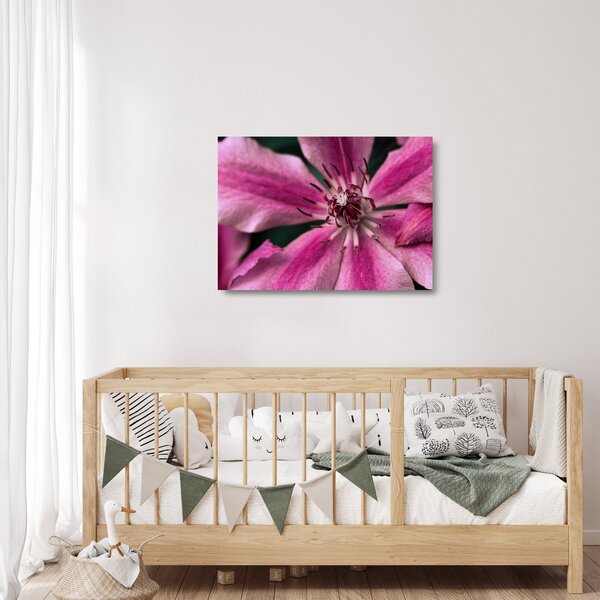 Staklena slika ružičastog cvijeta klematisa (70x50 cm)