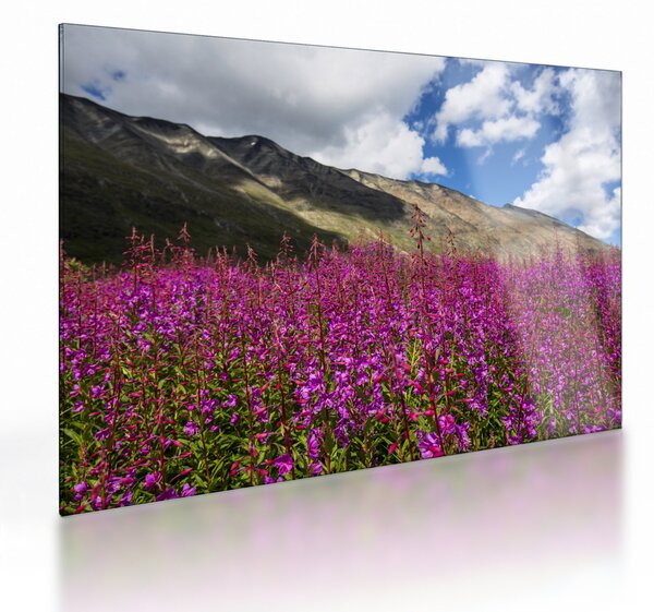 Staklena slika pejzaža planinske livade (70x50 cm)