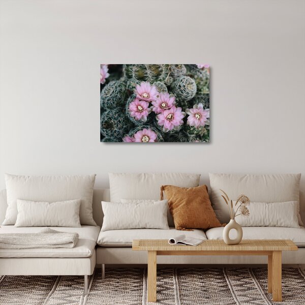 Staklena slika cvijeta kaktusa (70x50 cm)