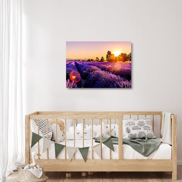 Staklena slika polja lavande, Provence (70x50 cm)