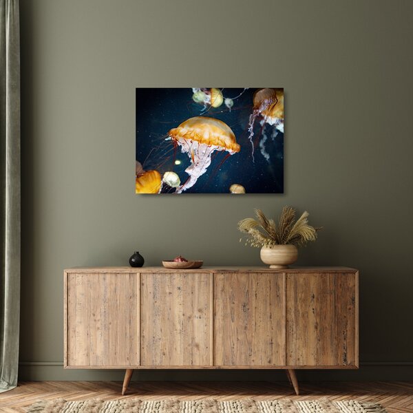 Staklena slika meduze (70x50 cm)