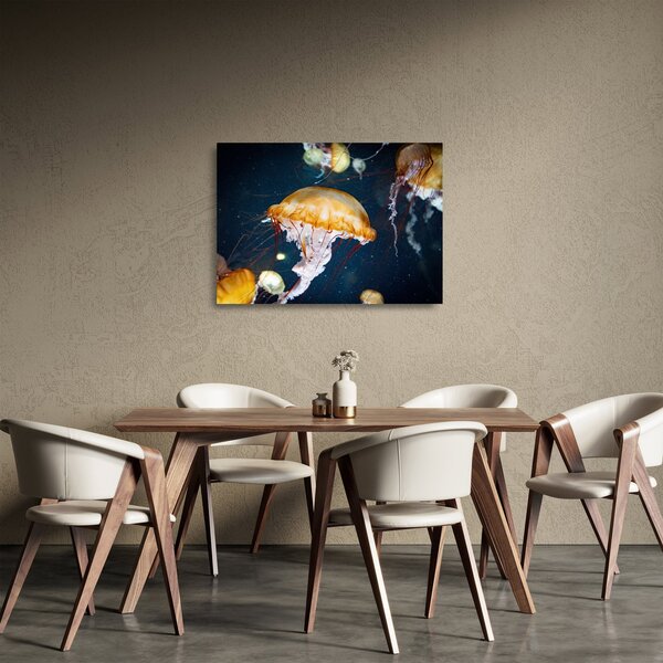 Staklena slika meduze (70x50 cm)