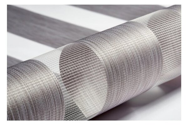 Smeđe-sive rolete 42,5x150 cm Zebra Silvalin – Gardinia