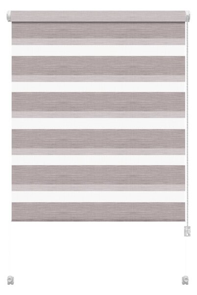 Smeđe-sive rolete 42,5x150 cm Zebra Silvalin – Gardinia