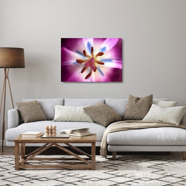 Staklena slika - Cvijet tulipana u detalju (70x50 cm)