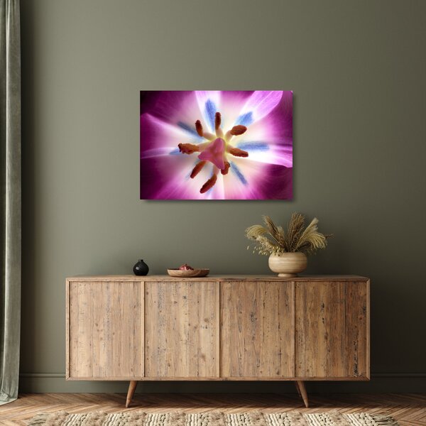 Staklena slika - Cvijet tulipana u detalju (70x50 cm)